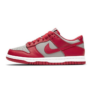 Nike Dunk Low Medium Grey GS