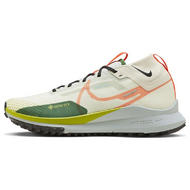 Nike Pegasus TRail 4 GTX