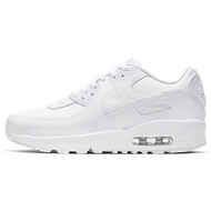 Nike Air Max 90 LTR