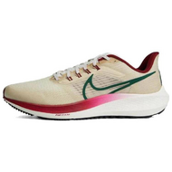 Nike Air Zoom Pegasus 39 Nike Air Zoom Pegasus 39