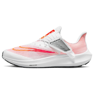 Nike Pegasus FlyEase
