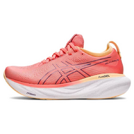 Asics Gel-Nimbus 25