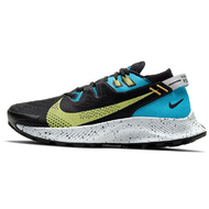 Nike Pegasus TRail 2