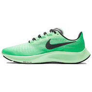 Nike Pegasus 37 Nike Pegasus 37