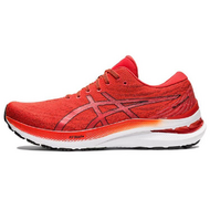 Asics Gel-Kayano 29