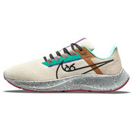 Nike Pegasus 38 Zoom