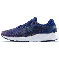 Asics Gel-Kayano TRainer Evo
