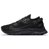 Nike Pegasus TRail 2