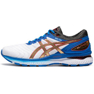 Asics Gel-Nimbus 22