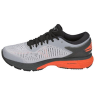 Asics Gel-Kayano 25