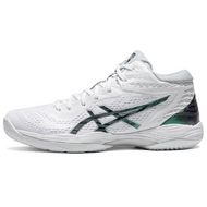 Asics Gel-Hoop V14