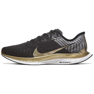 Nike Pegasus Turbo 2