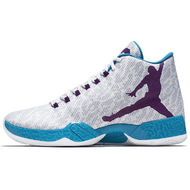Air Jordan 29