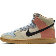 Nike Dunk SB Pro Spectrum