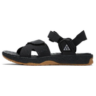 Nike ACG Air Deschutz