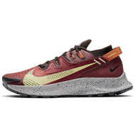 Nike Pegasus TRail 2