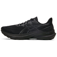 Asics GT-2000 12