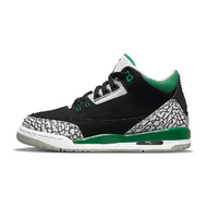 Air Jordan 3 Pine Green GS