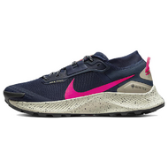 Nike Pegasus TRail 3 GTX