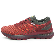 Asics Gel-Nimbus 22