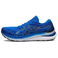 Asics Gel-Kayano 29