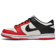 NBA x Nike Dunk EMB Chicago NBA 75 GS