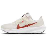 Nike Air Zoom Pegasus 40 Nike Air Zoom Pegasus 40