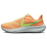 Nike Air Zoom Pegasus 39 Nike Air Zoom Pegasus 39