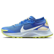 Nike Pegasus TRail 3 Gore-Tex