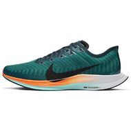 Nike Pegasus Turbo 2