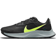 Nike Pegasus TRail 3
