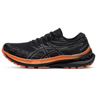 Asics Gel-Kayano 29