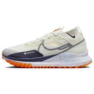 Nike Pegasus TRail 4 Gore-Tex