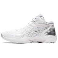 Asics Gel-Hoop V14