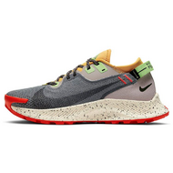 Nike Pegasus TRail 2 GTX