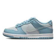 Nike Dunk Low GS