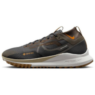 Nike Pegasus TRail 4 GTX SU