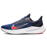 Nike Zoom Winflo 7 Nike Zoom Winflo 7