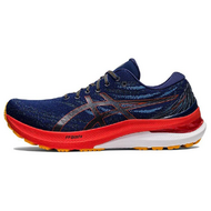 Asics Gel-Kayano 29