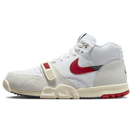 Nike Air TRainer 1 Chicago Split