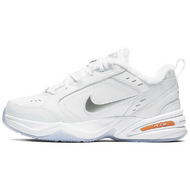 Nike Air Monarch 4 Snow Day