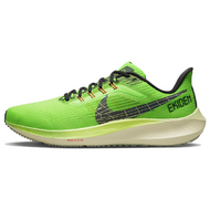 Nike Air Zoom Pegasus 39 Nike Air Zoom Pegasus 39