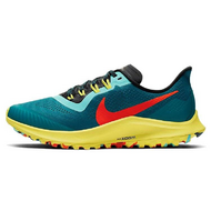 Nike Pegasus 36 Nike Pegasus 36