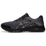 Asics Alpine XT 2