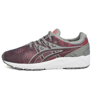 Asics Gel-Kayano TRainer Evo