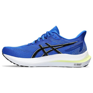 Asics GT-2000 12