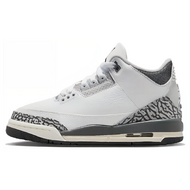 Air Jordan 3 Retro HIde N Sneak GS
