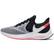 Nike Zoom Winflo 6