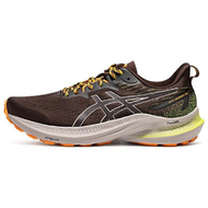 Asics GT-2000 12
