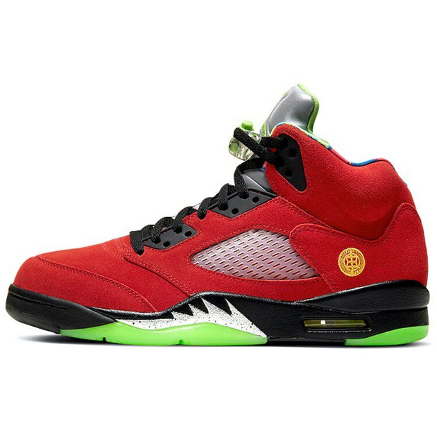 Air Jordan 5 Retro Se what the